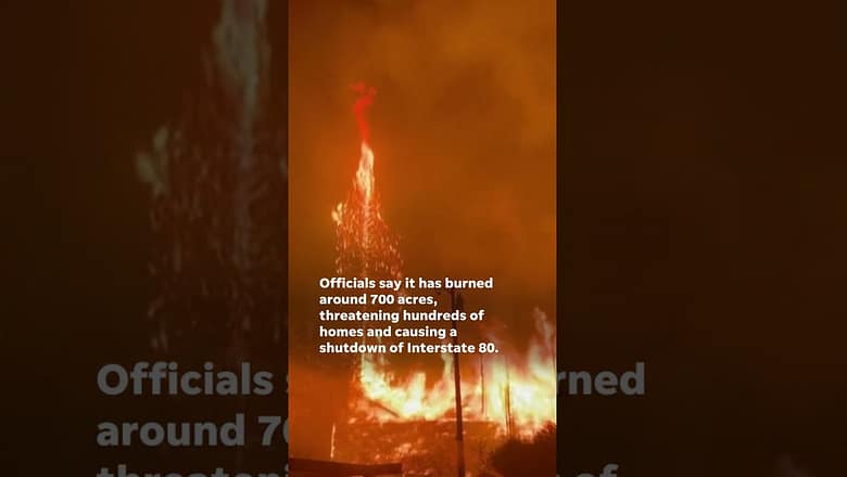 Dramatic video shows firefighters battling Gold Ranch Fire near Reno #Shorts
