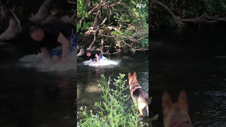 Oh, no, your phone! π±# shorts #tree #river #climb #fail #humor