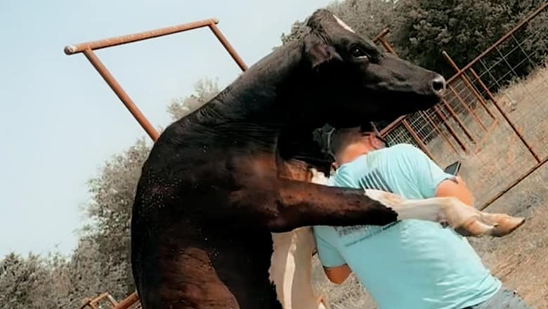 Best Fails of the Month | Mooove Over! ๐