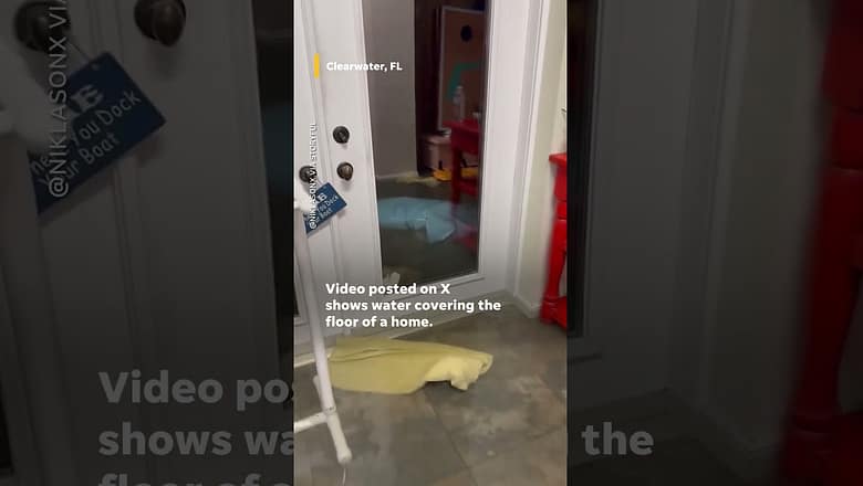 Florida homes and neighborhoods flood as Helene makes landfall #Shorts