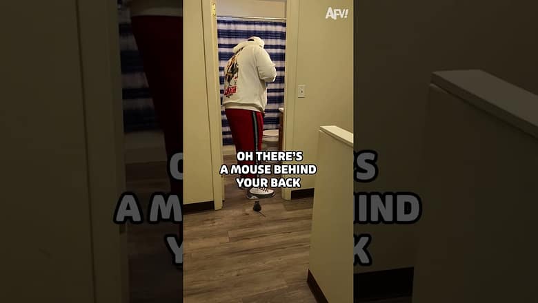 Little toy, big scare! π #AFV #prank #scare