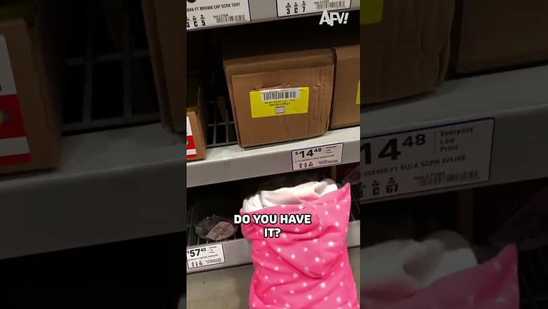 Now that’s teamwork! π€£#afv #cute #funny