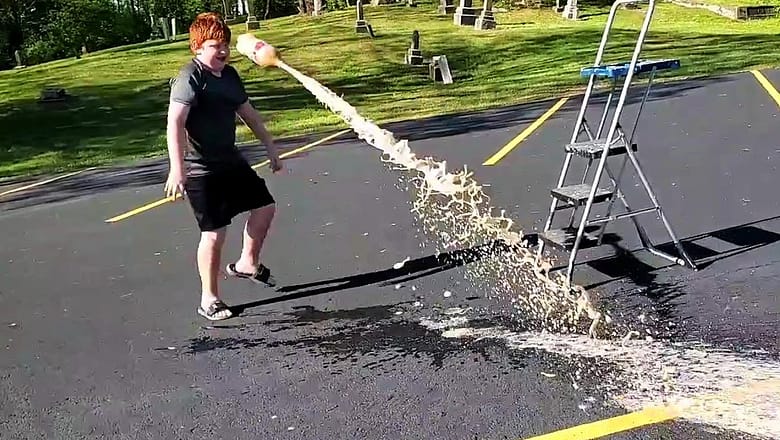 Try Not to Laugh Challenge ๐คฃ Best Fails of 2024 So Far