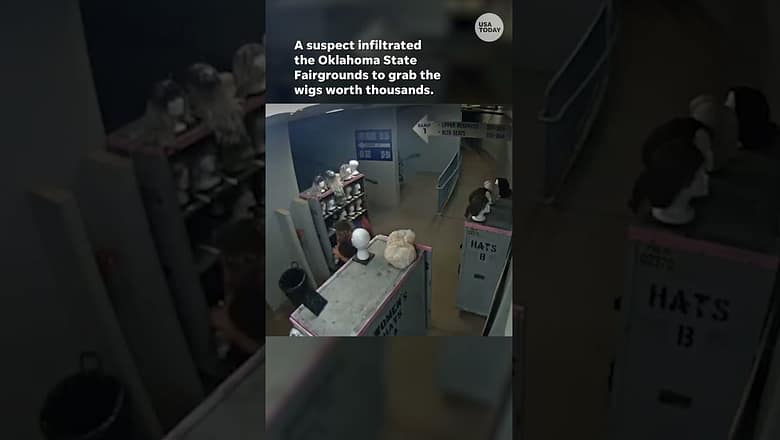 Unusual theft: Stolen Disney wigs found #Shorts
