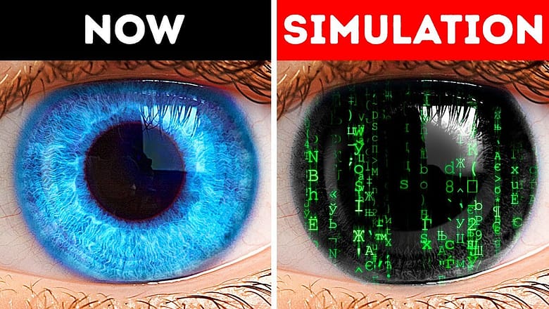 We Are Living In Computer Simulation. Or Not?