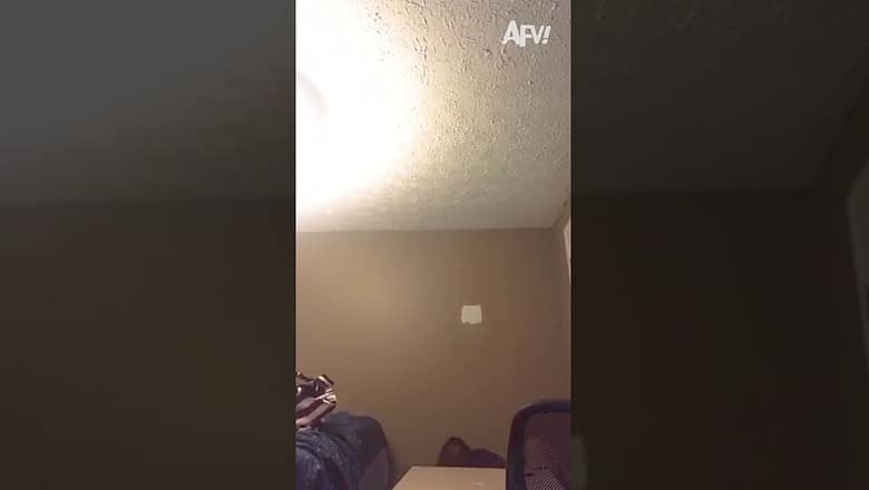 I’M FIIIIIIIINE ๐
#afv #fail #funnyvideos