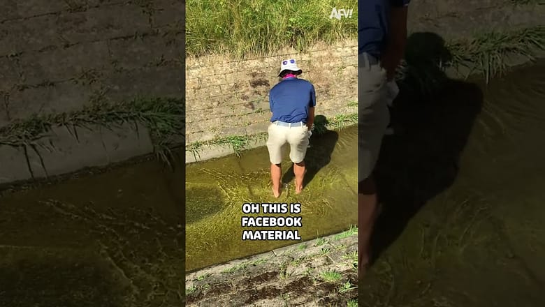 Putt it somewhere else ๐ #golf #funny #fail
