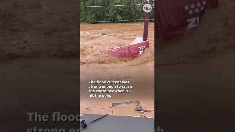 Watch: Container crushed like soda can in Helene floodwaters #Shorts