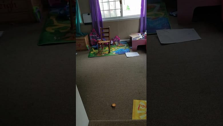 Wow, Mayleigh can nap ANYWHERE ๐คฃ #afv #funnyvideos