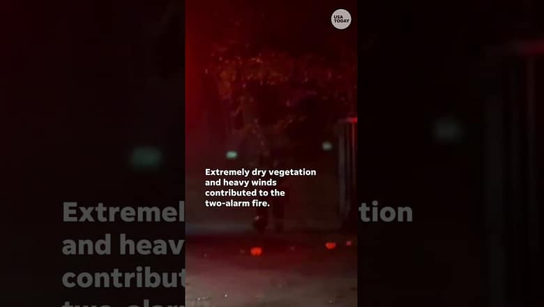 Fire erupts in Brooklyn’s iconic Prospect Park | USA TODAY