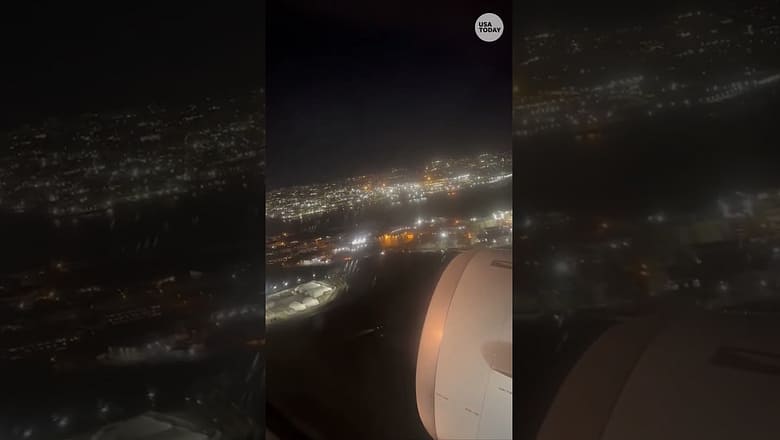 American Airlines flight forced to land after stiking bird #Shorts