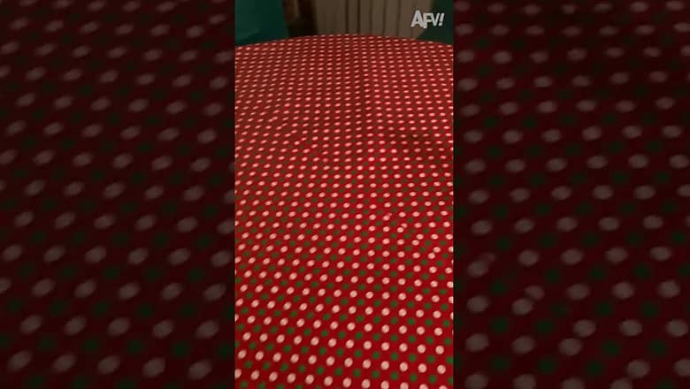 He’s got the Christmas spirit! ππ #afv #christmas #funny