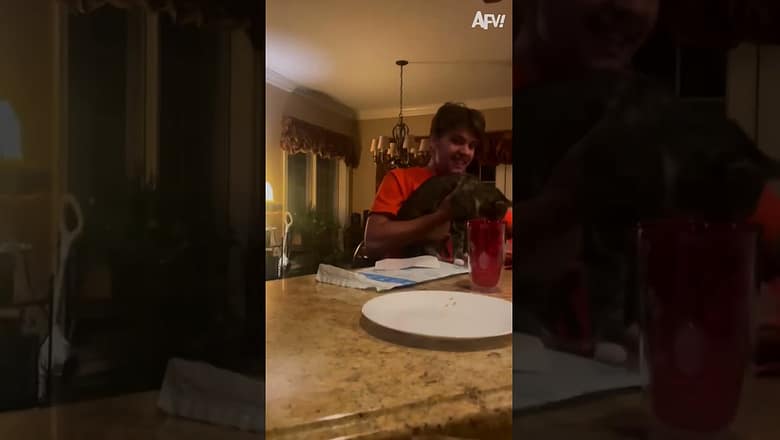 His face when he realizes π€£ #afv #funny #fail