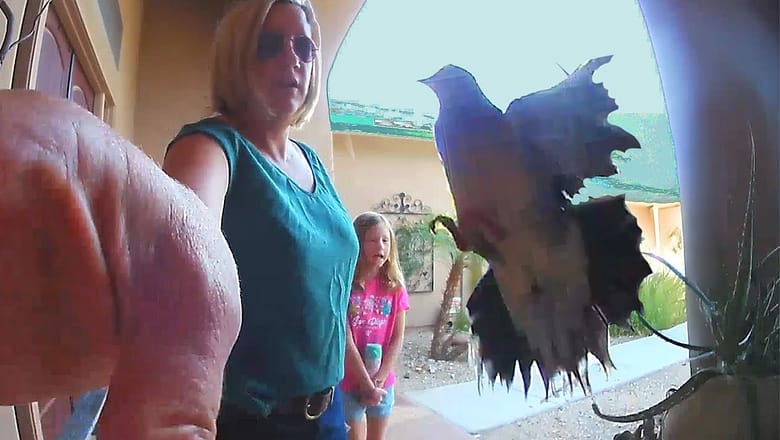 Best Security Camera Fails EVER! π (You Have to See This)