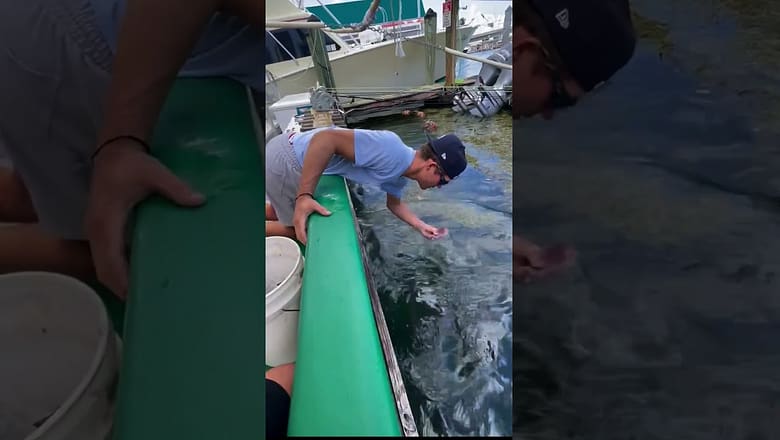 Guess the fish was still hungry! π #afv #funny #fail