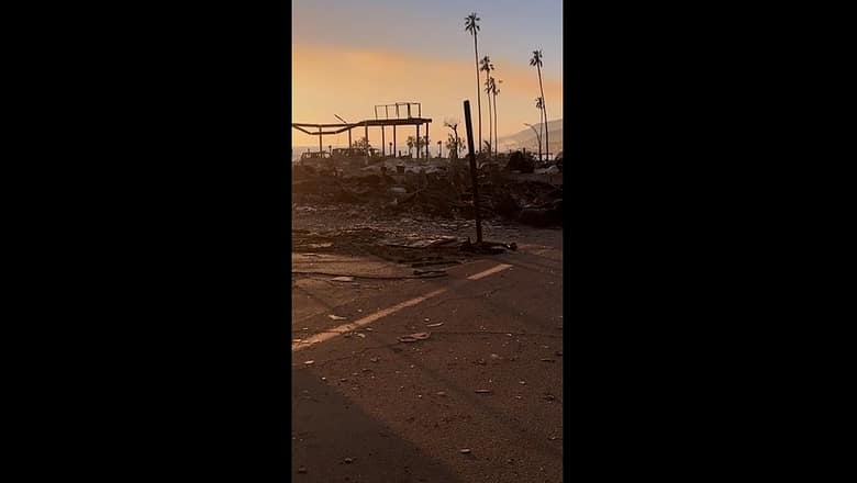 LA wildfire victims return to neighborhoods burnt to ash #Shorts