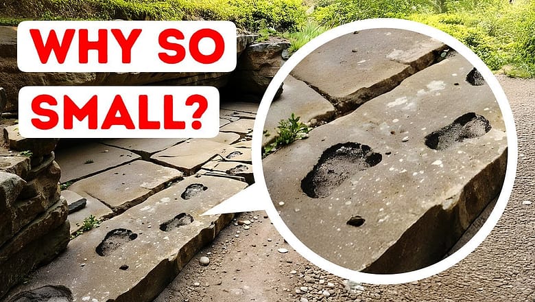 Scientists Found Footprints That Reveal a New Past