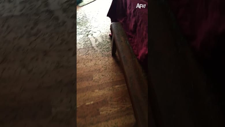 Someone’s gonna be on vacuum duty 🤣 #afv #fail