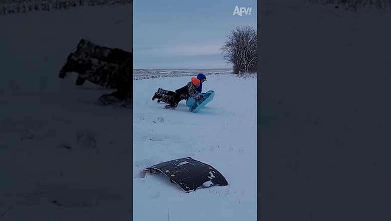Who said going downhill was easier than up? π€£ #afv #fail #funny
