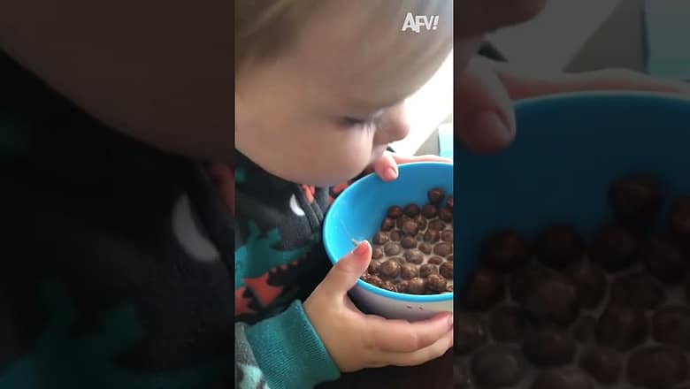 A cerealously messy fail π
#afv #fail #funny #shorts