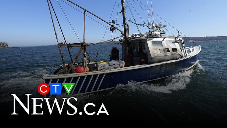 How tariffs by China and U.S. on fishing industry could be a devastating double punch