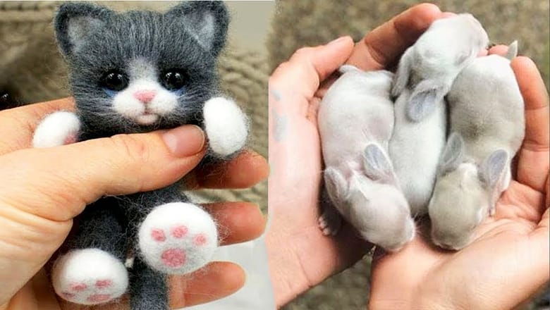 AWW Animals SOO Cute! Cute baby animals Videos Compilation cute moment of the animals