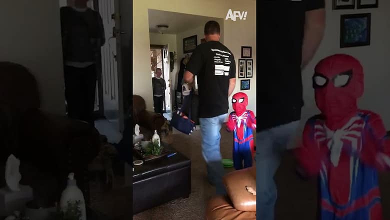 Dad’s Spidey-Senses were tingling π
#afv #funny #shorts