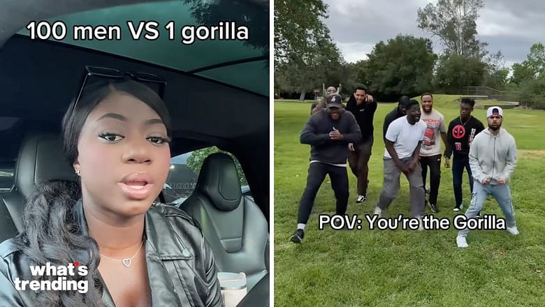 Experts Weigh In As MrBeast’s Tweet Sparks Viral ‘100 Man vs. Gorilla’ Debate