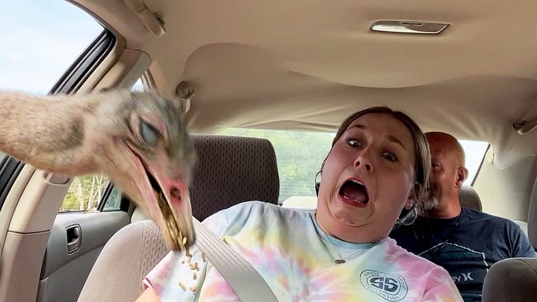 Fails of The Week | You’ll Never Believe It!