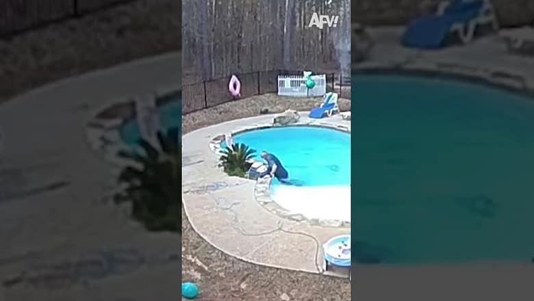 Guy + Pool = Always Hilarious π #afv #funny #shorts