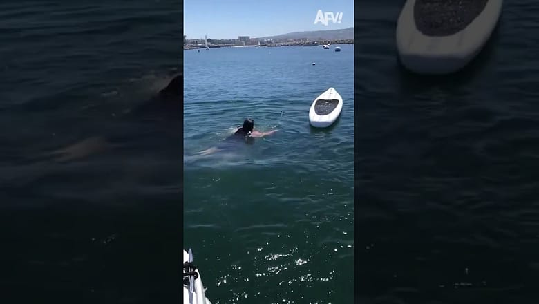 Paddle-overboard π #afv #fail #funny #shorts