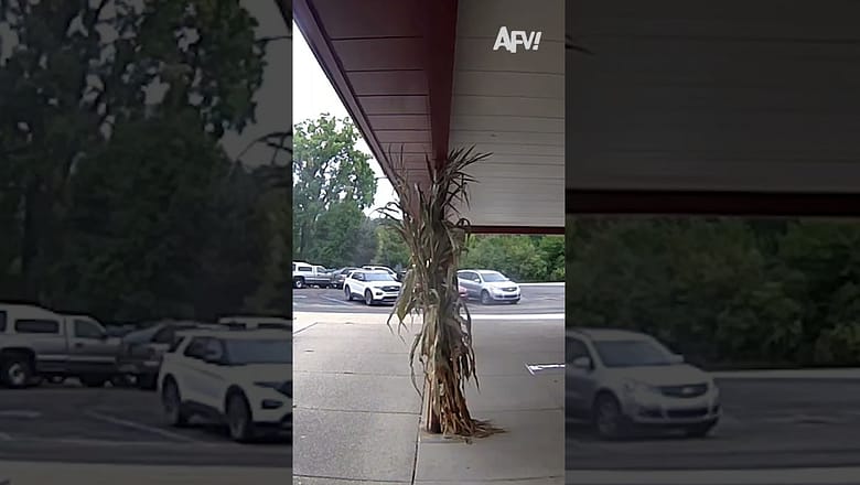 Guess it’s a two coffee morning π© #afv #fail #funny #shorts