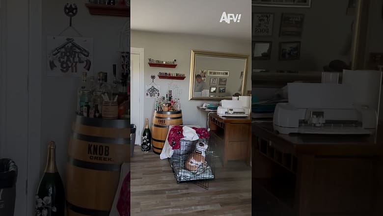 I bet he was so relieved π #afv #prank #funny #shorts