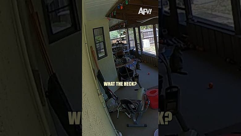 Mind if I crash here? π
#afv #fail #caughtoncamera #funnyvideos #shorts