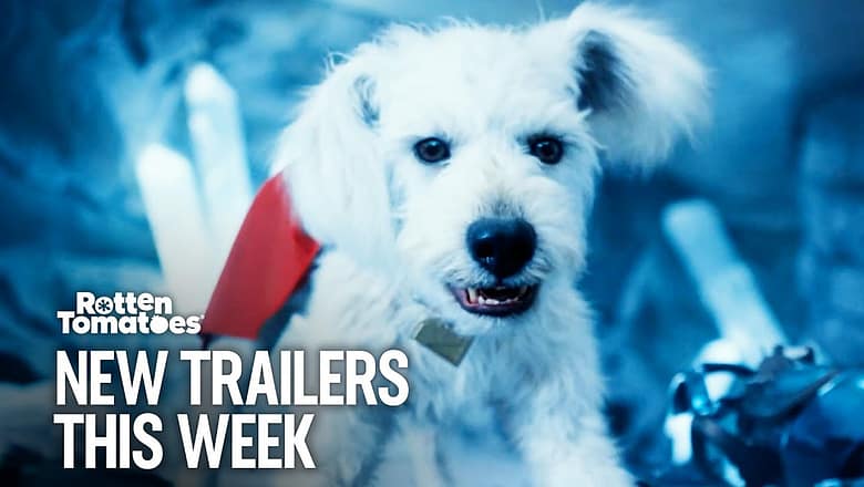 New Trailers This Week | Week 20 (2025)