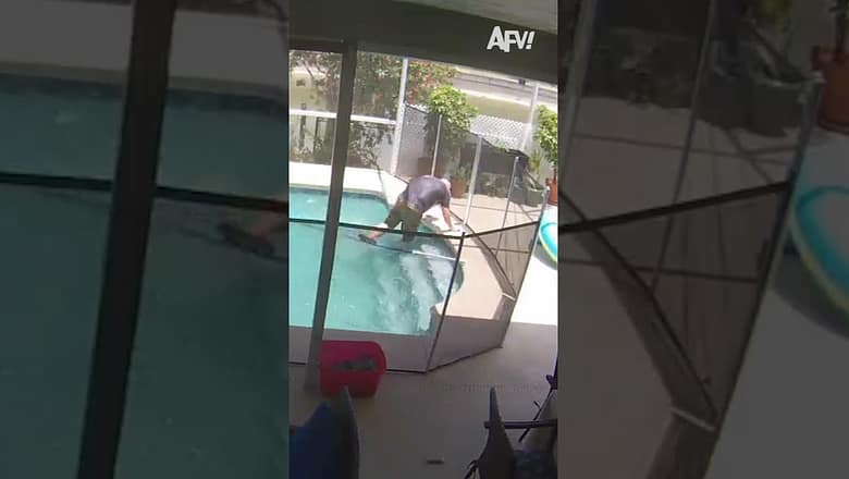 Quick dip in the pool π
#afv #fail #funny #shorts