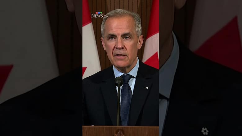 ‘Totally unacceptable’: Canada summons Israeli ambassador over IDF warning shots