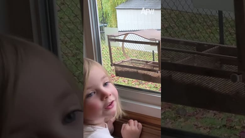Awfully squirrelly behavior π #afv #funny #scare #shorts