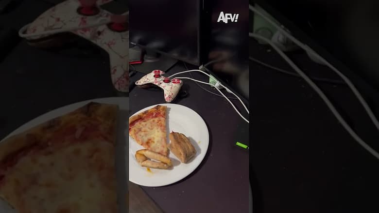 How does that crust keep moving? πΉ #afv #cats #funny #shorts
