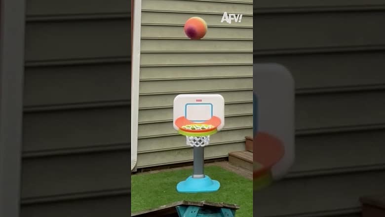 Light work for Dad βοΈπ #afv #funny #shorts