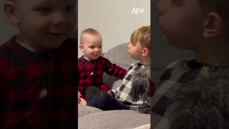 Never saw it coming π #afv #funny #dogs #shorts