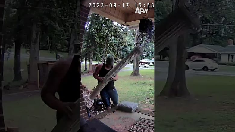 That leaf blower huffed and puffed π
#afv #fail #funny #shorts