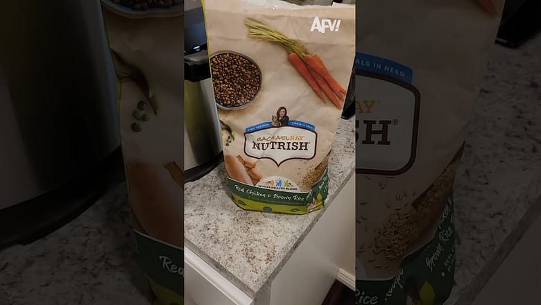 The dishwasher was well fed π€£ #afv #fail #funny #shorts
