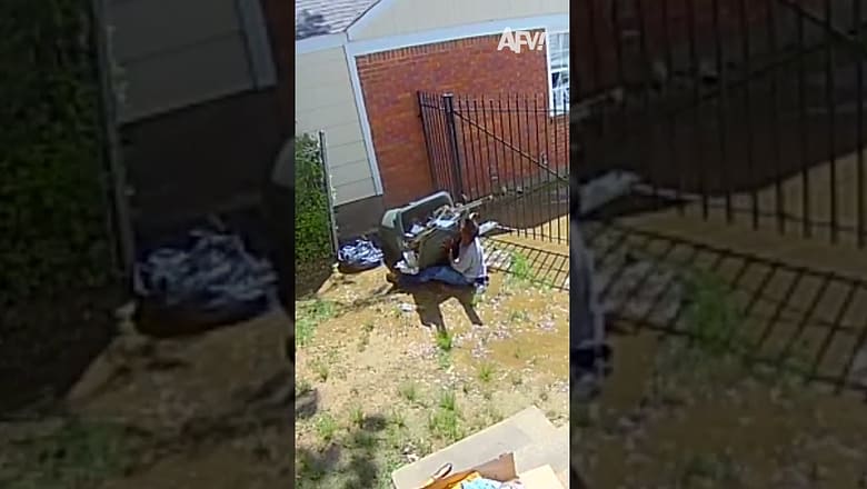 Well, just as I thought… trash π
#afv #fail #funny #shorts