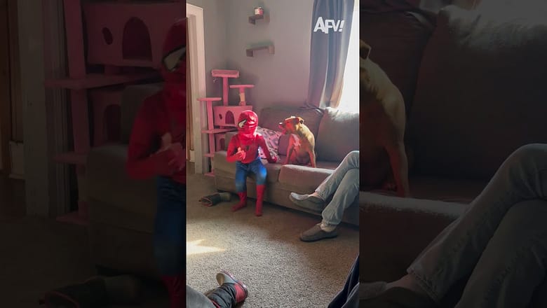 With great power comes poor visibility π€£ #afv #fail #spiderman #funny #shorts