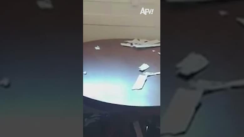 At least the view was amazing π #afv #dogs #funny #shorts