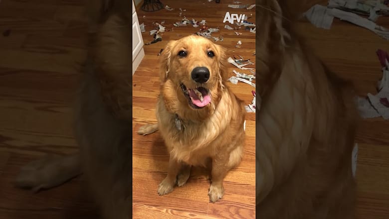 Good thing he cleaned up the evidence!