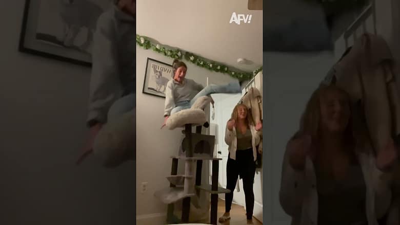 I hope she has 9 lives πΉ #afv #fail #funny #shorts