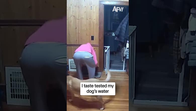 I taste tested my dog’s water