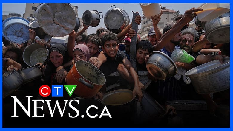 ‘Our teams are desperate’ | Advocate sounds alarm on hunger crisis in Gaza